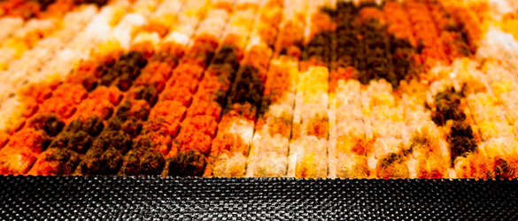 easy to clean waterhog mat